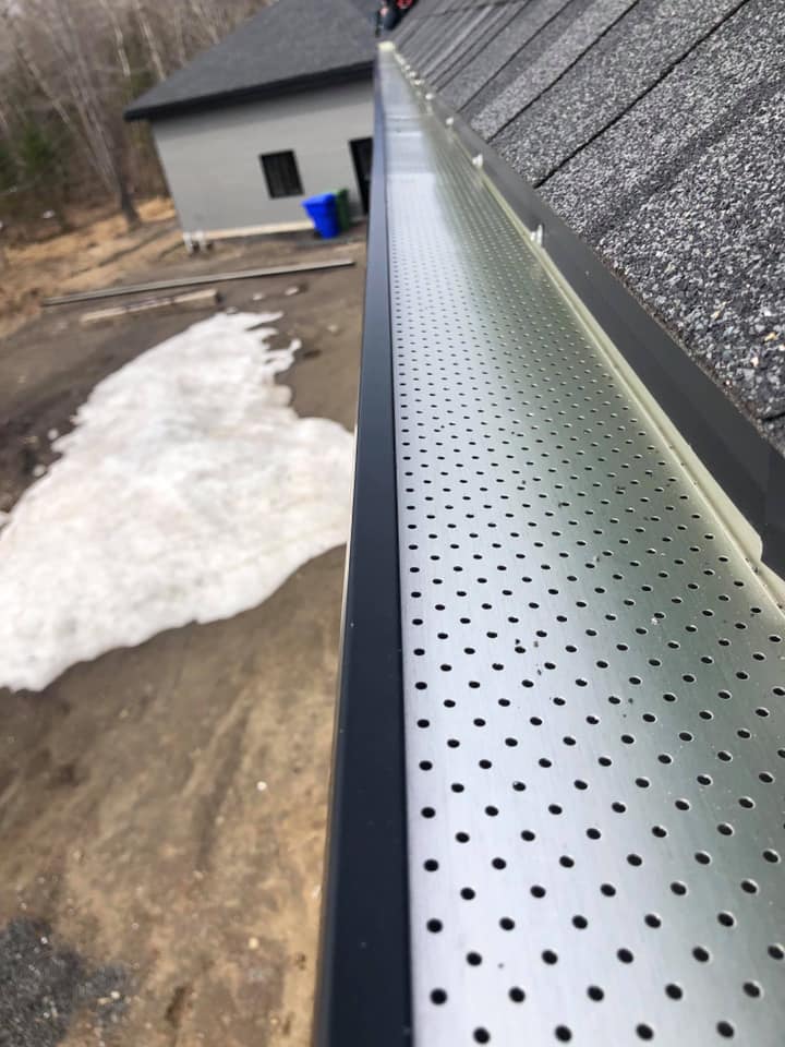 pare-feuilles ou protège gouttières